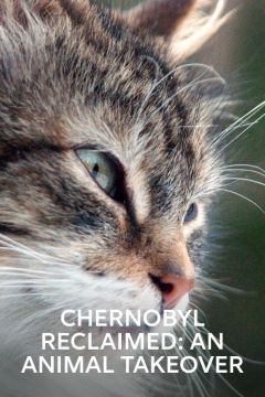 Чернобыль, жизнь в смертельной зоне (2007)
