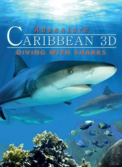 Карибские острова 3D: Погружение с акулами (2012)